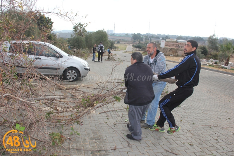 taso mashro3 tandaef (57).JPG